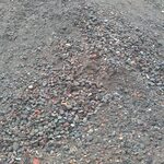 IMAG0198